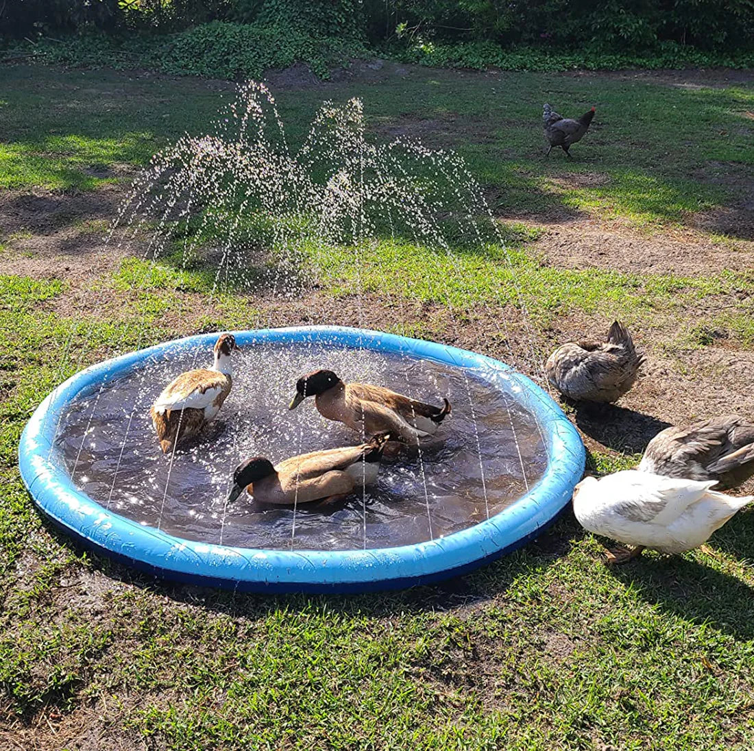 Pawellure Splash Pad for Dogs & Kids – Anti-Slip Summer Sprinkler Mat for Outdoor Fun