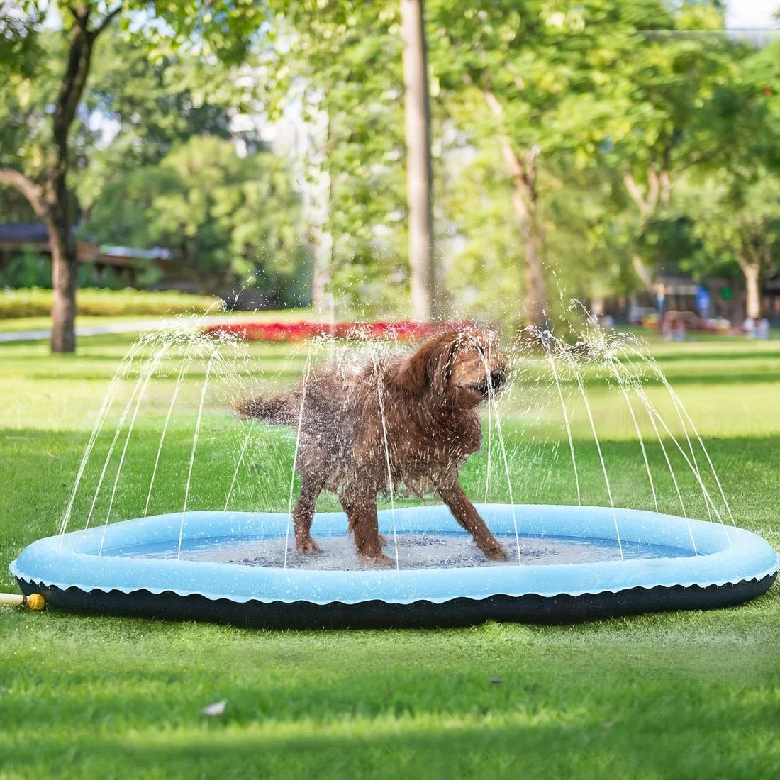 Pawellure Splash Pad for Dogs & Kids – Anti-Slip Summer Sprinkler Mat for Outdoor Fun