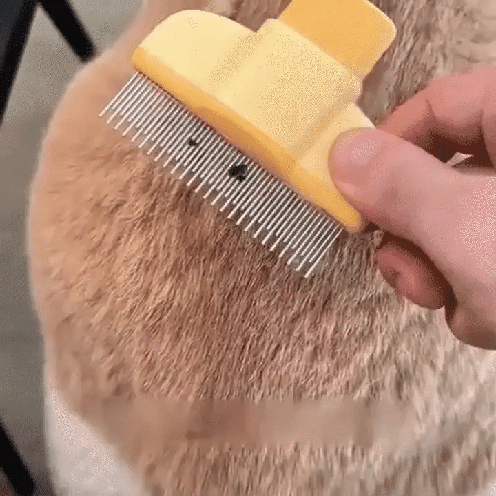 Luxora Flea Comb For Dogs And Cats With Self-Cleaning Feature