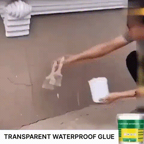 LuxRoyale Transparent Waterproof Coating Agent 300g