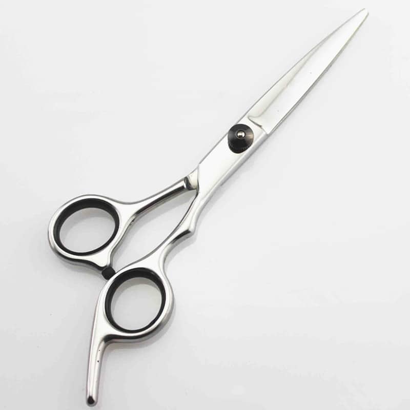 Royaleva Professional Japan 4cr 6 Inch Hair Cutting Scissors Set