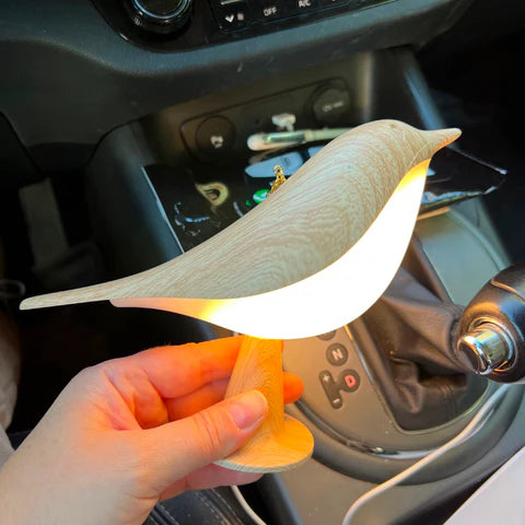 LuxRoyale Touch-Control Diffuser Bird Night Light - Rechargeable LED Bedside Lamp