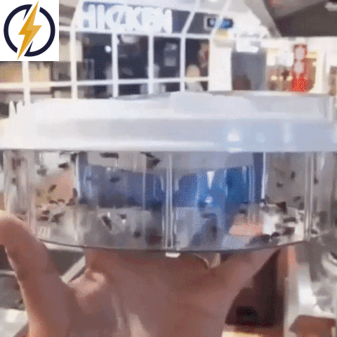 RoyaleGlow Rotating Electric Fly Trap for Indoor Use