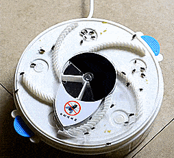 RoyaleGlow Rotating Electric Fly Trap for Indoor Use