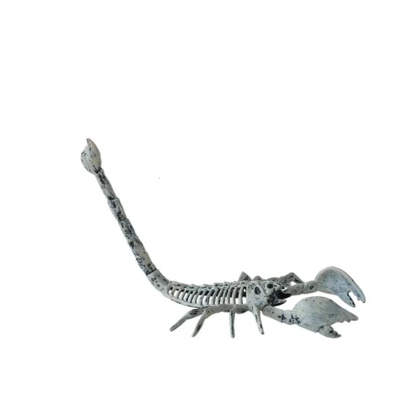 Halloween Animal Skeleton Ornaments Garden Festival Decorations Secret Room Simulation Plastic Crow Rat Skeleton Decoration Prop 8