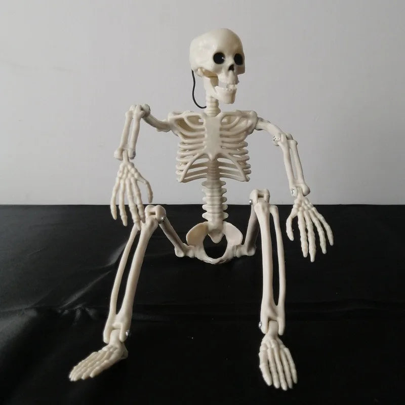 Halloween Human Skeleton 40CM-90CM Movable Skeleton, Human Skeleton Halloween Horror Decorations, Haunted House Horror Props 0