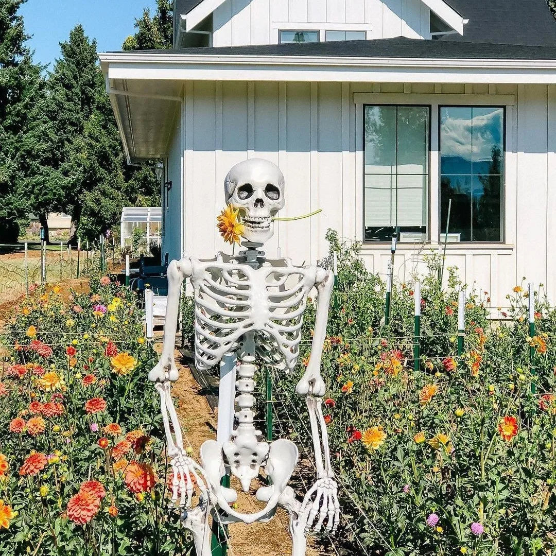 Halloween Human Skeleton 40CM-90CM Movable Skeleton, Human Skeleton Halloween Horror Decorations, Haunted House Horror Props 4