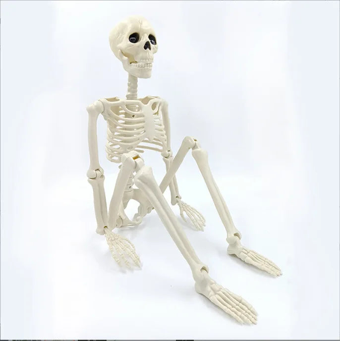Halloween Human Skeleton 40CM-90CM Movable Skeleton, Human Skeleton Halloween Horror Decorations, Haunted House Horror Props 6