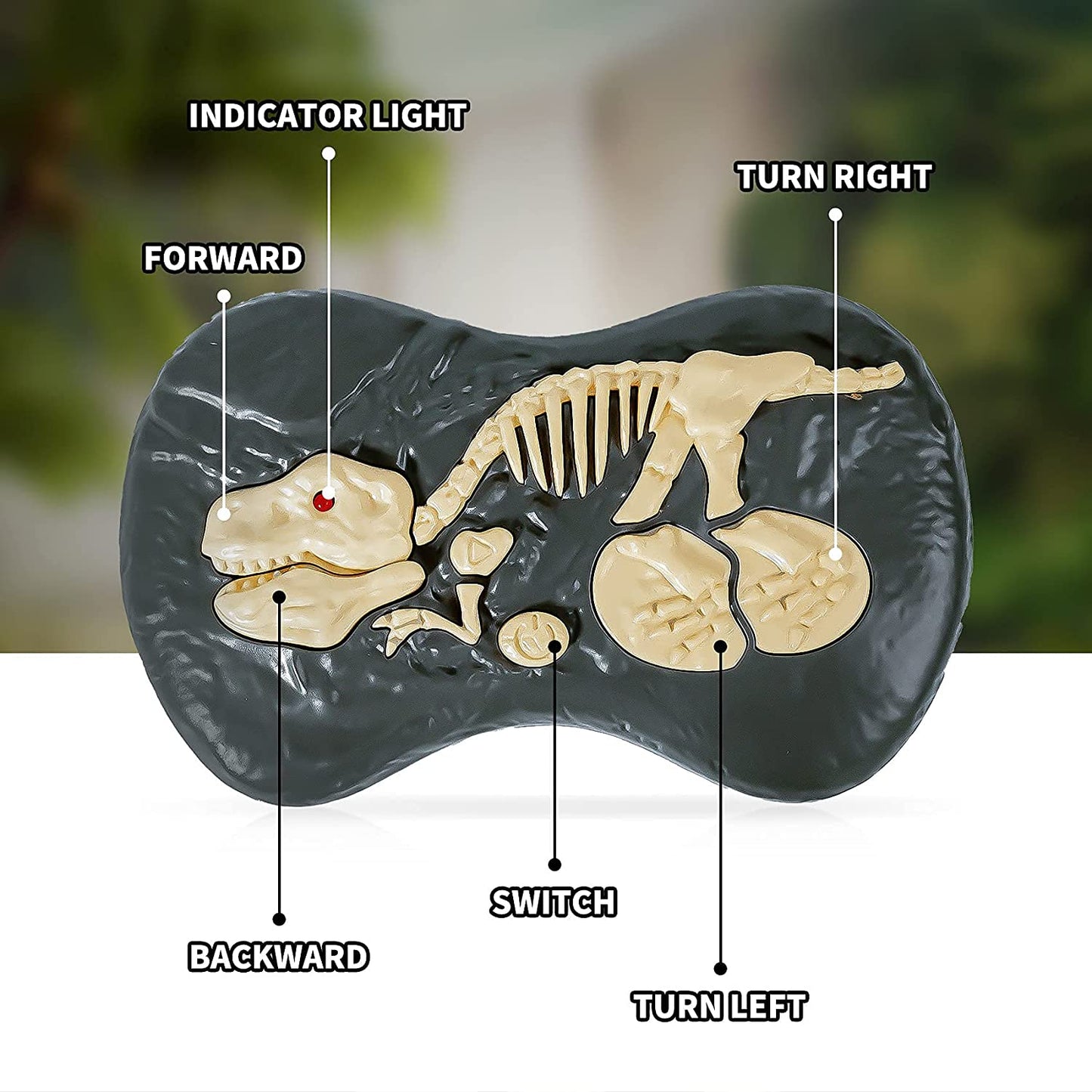 Remote Control Dinosaur 6