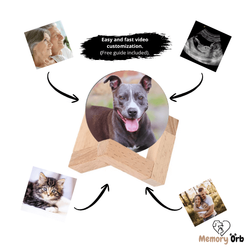 Royallure Customizable Video Sphere with 360° Surround Sound – Memory Orb for Reliving Cherished Moments 2