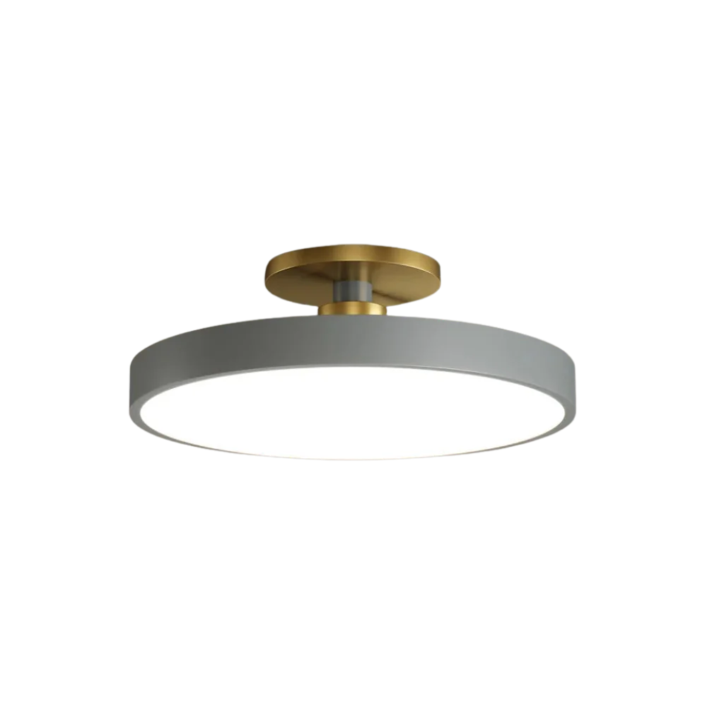 Royallure Flush Mount Ceiling Light with Dimming, Multiple Color Options, Modern Design 12