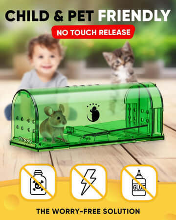 Royallure Humane Mouse Trap 4-Pack – No-Touch, Child & Pet Safe, Easy Setup, Stress-Free Live-Capture Design 1