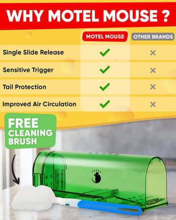 Royallure Humane Mouse Trap 4-Pack – No-Touch, Child & Pet Safe, Easy Setup, Stress-Free Live-Capture Design 2