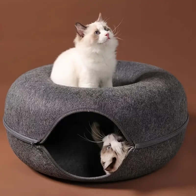 Royallure Interactive Donut Cat Cave Bed with Tunnel – Cozy Cat Bed for Play and Relaxation 6