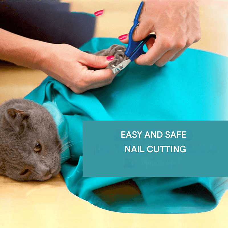 Royallure Soft Cat Carrier for Travel – Lightweight, Portable Design with 360° View and Adjustable Straps 3
