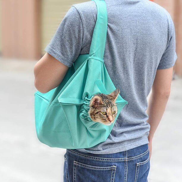 Royallure Soft Cat Carrier for Travel – Lightweight, Portable Design with 360° View and Adjustable Straps 4