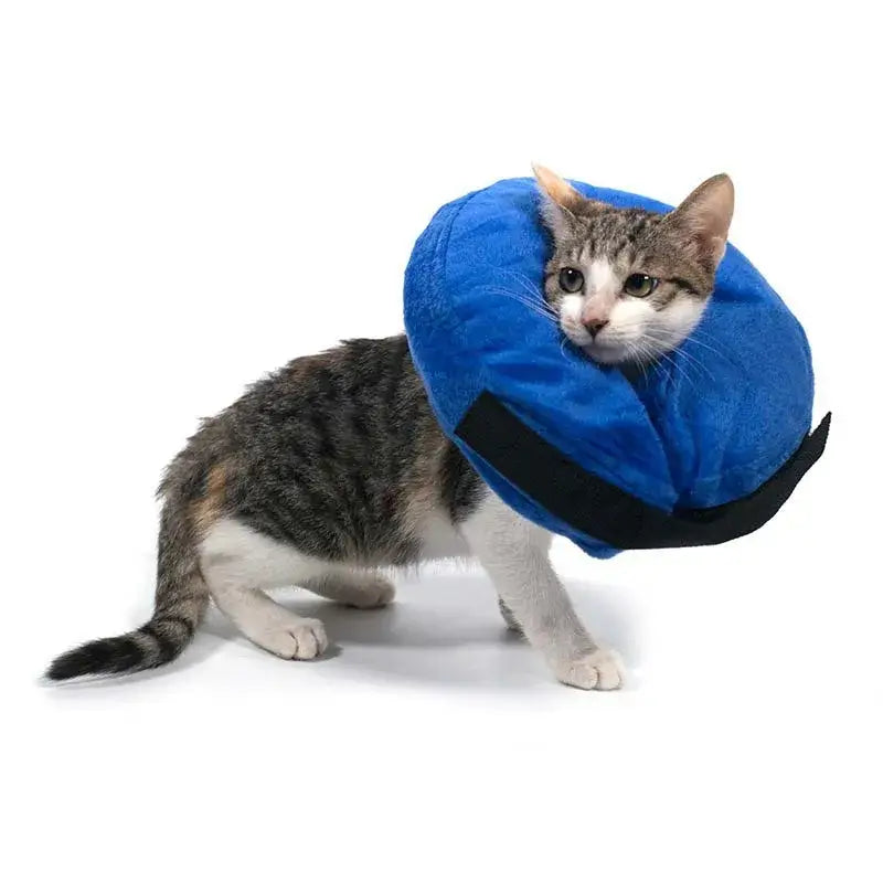 Royallure Inflatable Dog Recovery Collar – Soft Donut Design, Comfortable & Flexible