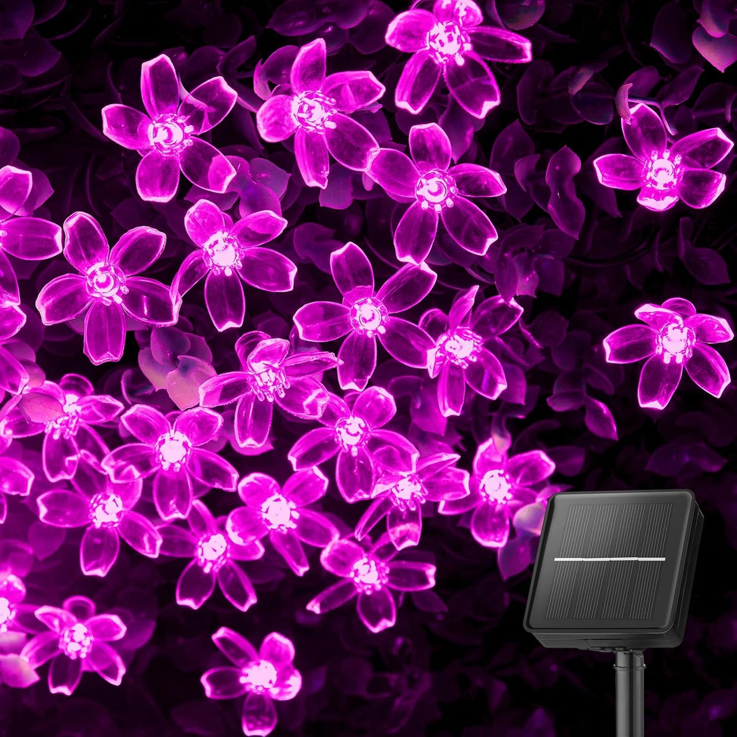 Solar Blossom Fairy Lights 10