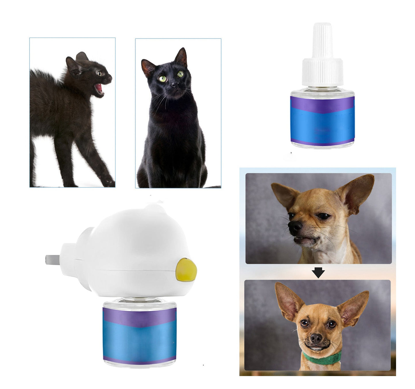 Royaleva Pet Calming Spray Diffuser for Happy Pets