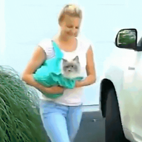 Royallure Soft Cat Carrier for Travel – Lightweight, Portable Design with 360° View and Adjustable Straps