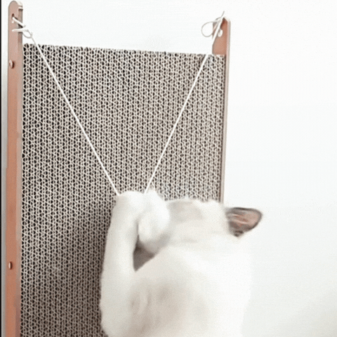Royallure L-Shaped Cat Scratcher with Toy Ball – Multi-Angle Lounging & Scratching Pad