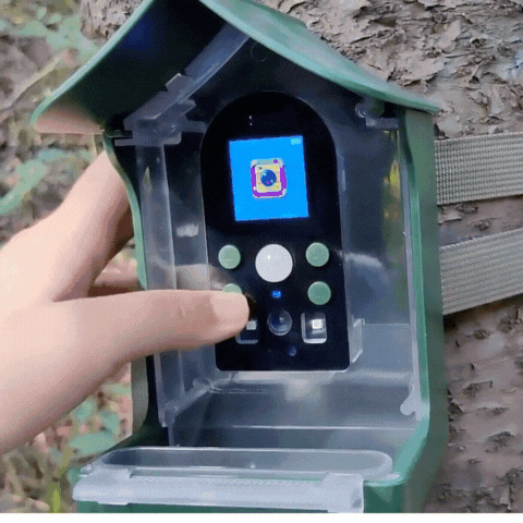 Royallure Smart Bird Feeder with PIR Motion Detection & Auto Photo/Video Capture