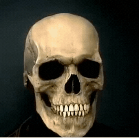RoyaleGlow Movable Jaw Realistic Full Head Skull Mask - Human Skeleton Mask for Halloween Party