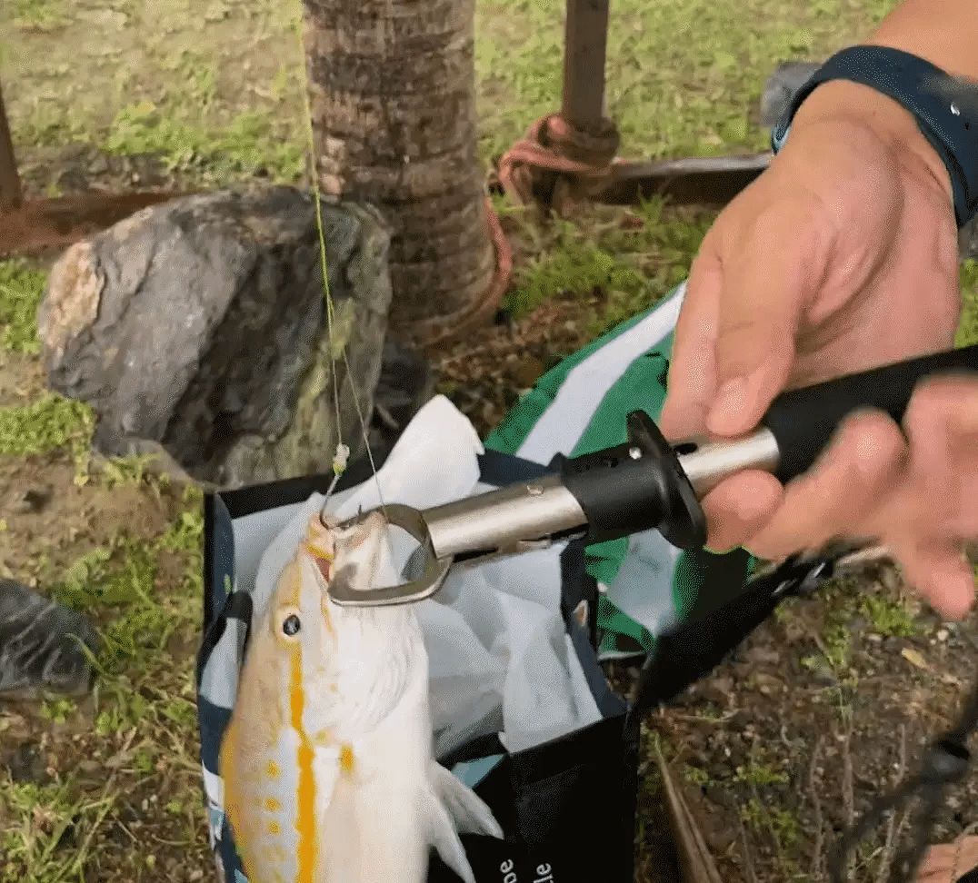 Royaleva Fish Lip Gripper Pliers with Ergonomic Handle