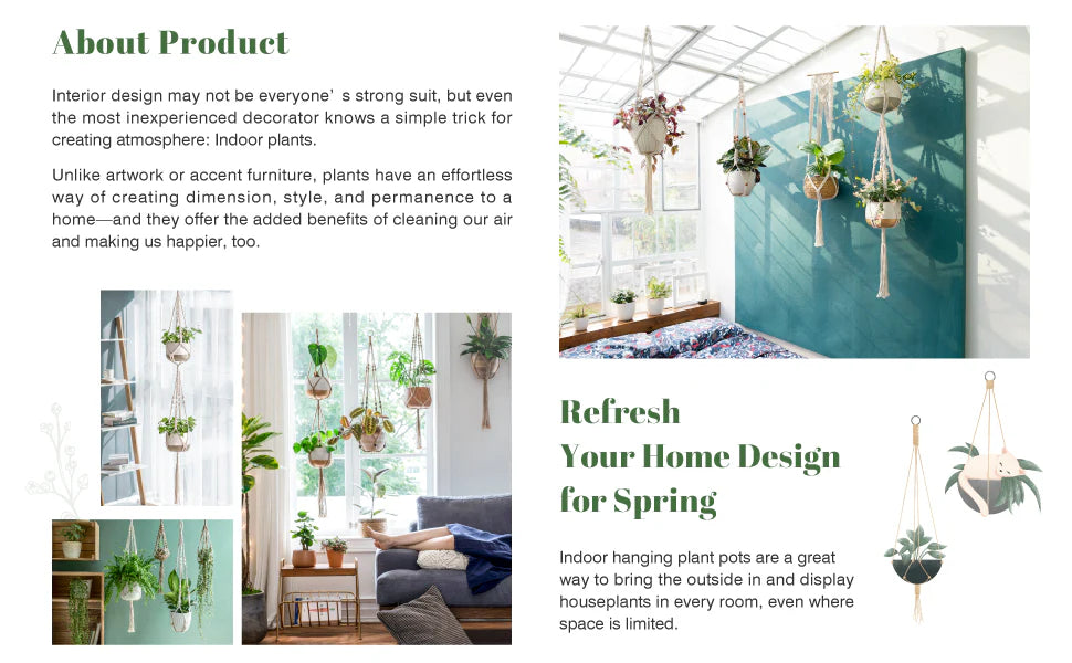 Royaleva Indoor Hanging Planter Pot for Stylish Decor