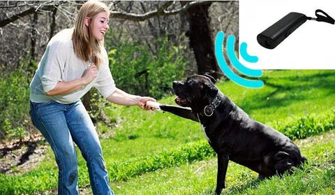 RoyaleGlow Anti-Bark Box For Dogs - Effective Training Aid