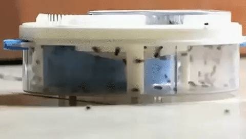 Royaleva The World's Best Electric Silent Fly Trap