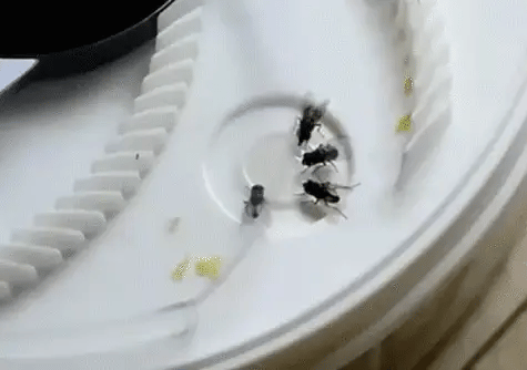 Royaleva The World's Best Electric Silent Fly Trap