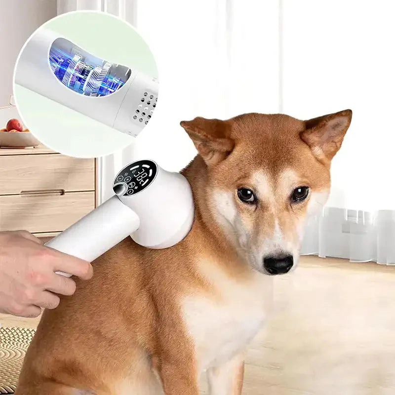 Royaleva 2 in 1 Smart Dog Hair Dryer for Easy Grooming