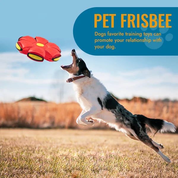 Luxora Flying Saucer Ball Dog Toy with Flashing Light