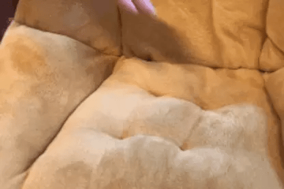 Luxora Coccyx And Sciatica Pain Relief Cushion Seat