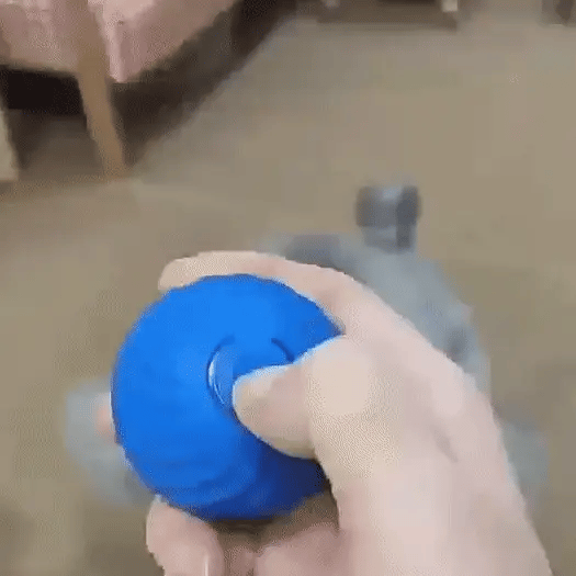 Royaleva Active Rolling Ball – Automatic Anti-Anxiety Toy for Pets & People