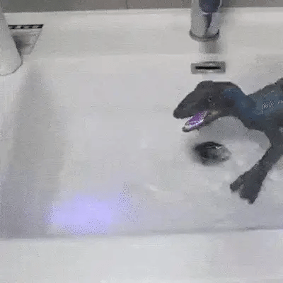 Royaleva Remote Control Dinosaur Toy – Walking Velociraptor with Roaring & LED 3D Eyes