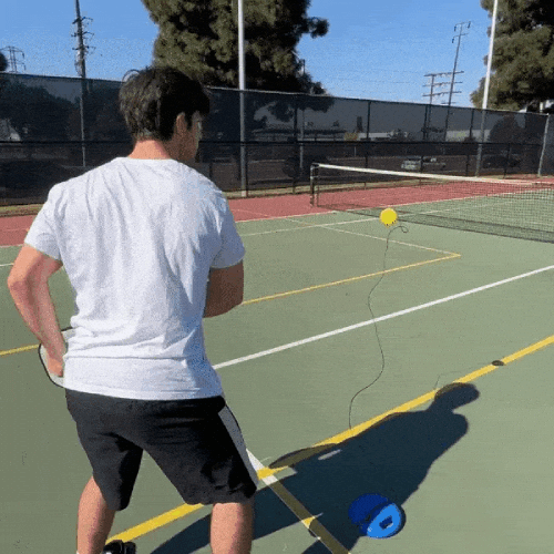 Royallure Luminous Pickleball Trainer with Extra-Grippy Base & Luminous Ball