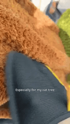 Royaleva Double-Sided Grooming Gloves Pet Hair Remover
