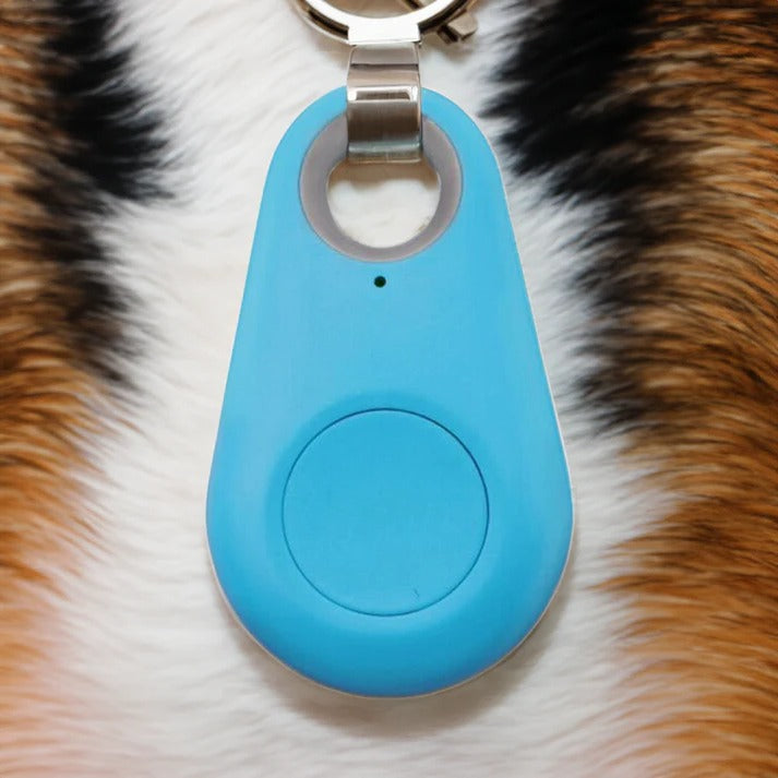 Rayvia Pets Smart Waterproof GPS Tracker for Dogs Cats