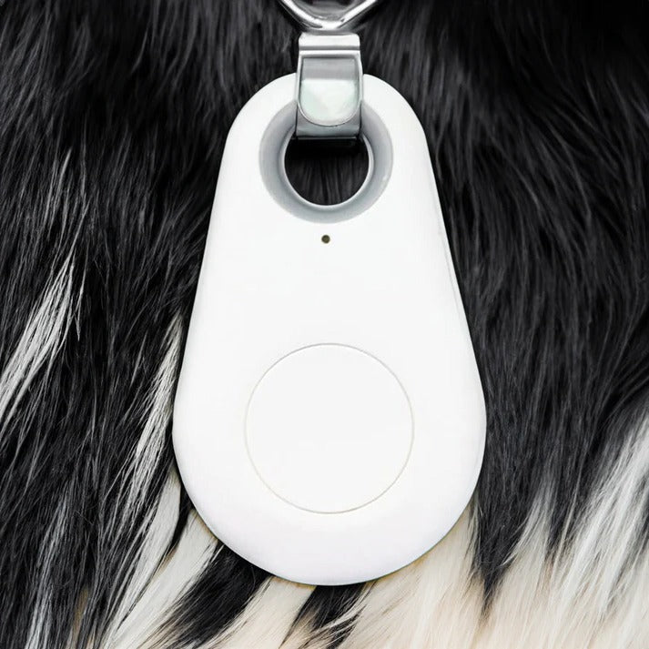 Rayvia Pets Smart Waterproof GPS Tracker for Dogs Cats