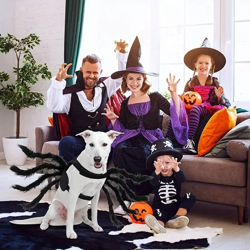 RoyaleGlow Pet Funny Spider Costume for Halloween Fun
