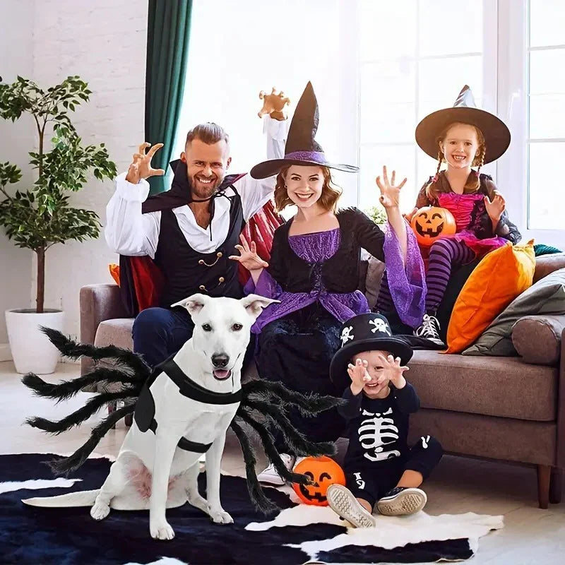 RoyaleGlow Pet Funny Spider Costume for Halloween Fun