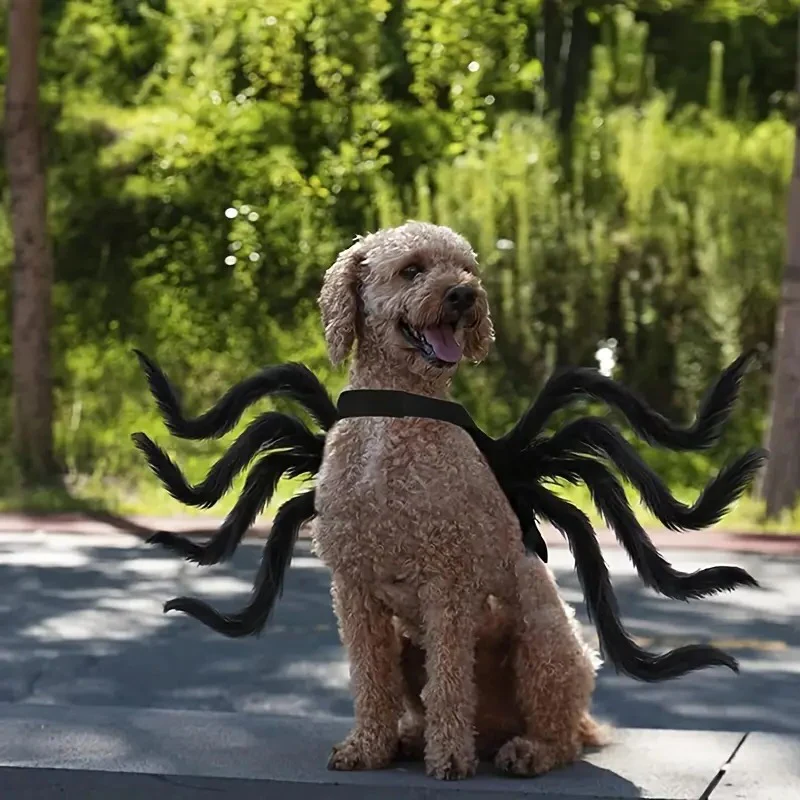 RoyaleGlow Pet Funny Spider Costume for Halloween Fun