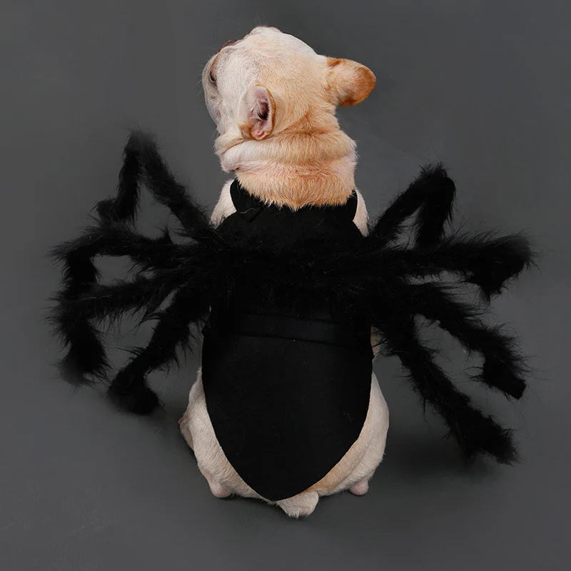 RoyaleGlow Pet Funny Spider Costume for Halloween Fun