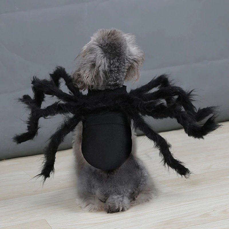RoyaleGlow Pet Funny Spider Costume for Halloween Fun