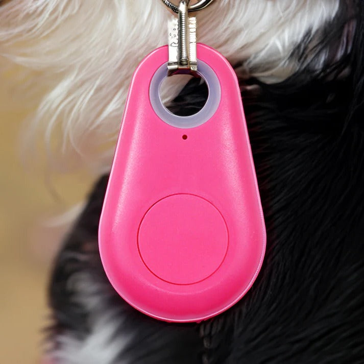 Rayvia Pets Smart Waterproof GPS Tracker for Dogs Cats