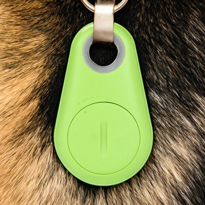 Rayvia Pets Smart Waterproof GPS Tracker for Dogs Cats