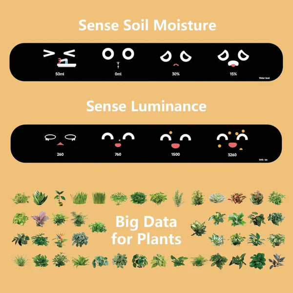 Royaleva Smart Plant Pot Ivy - Innovative Plant Care