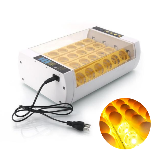 Luxora Premium Egg Incubator Automatic Chicken Quail Egg Hatcher 24 Eggs